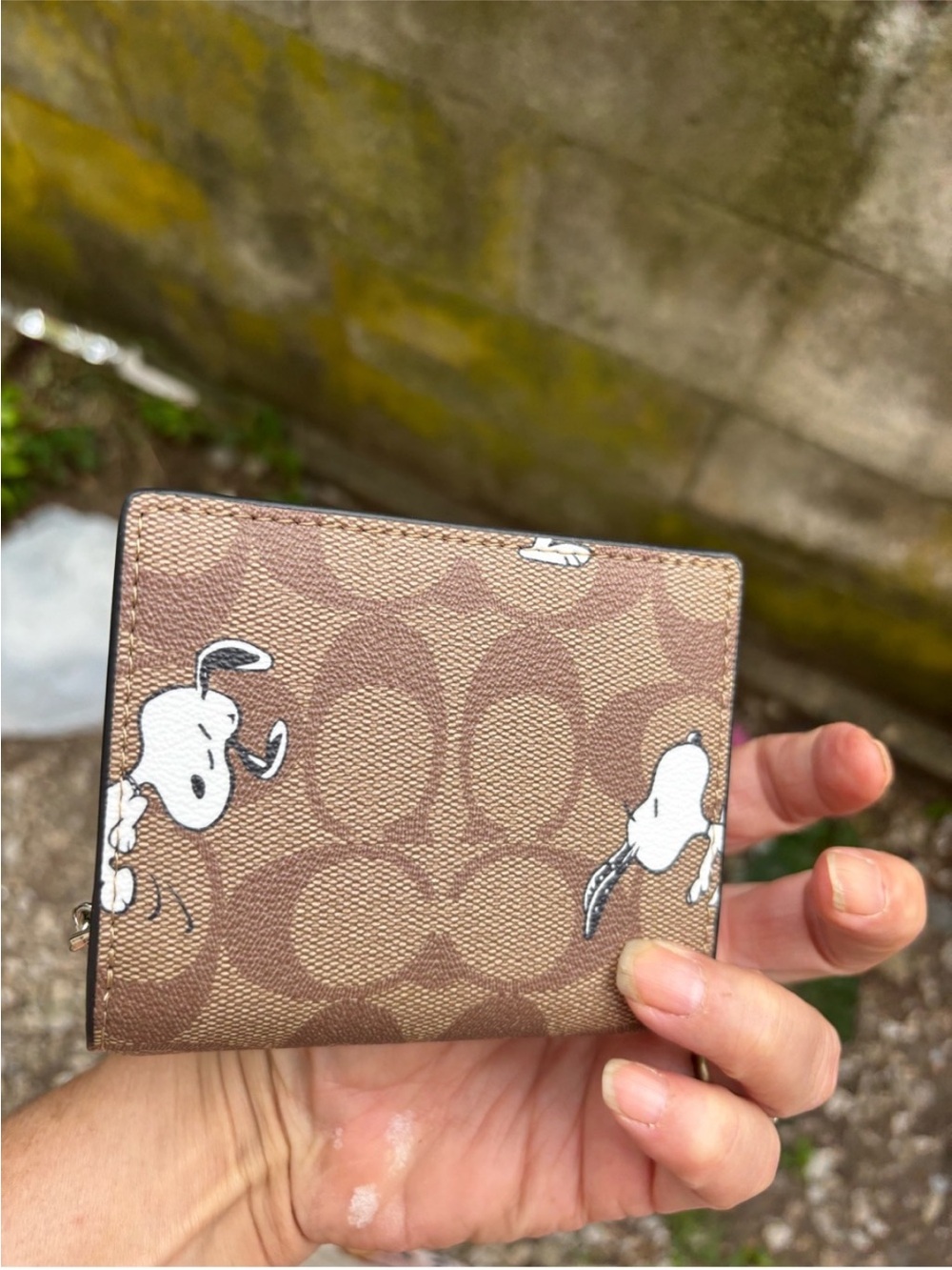 Coach Brown Signature Snoopy Compact Wallet